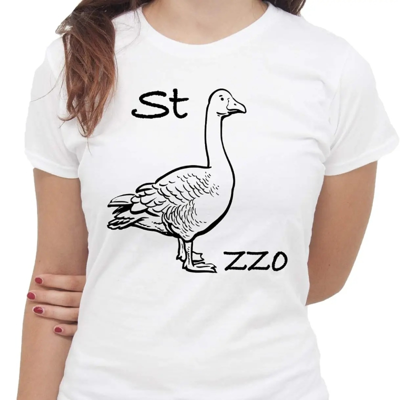 Summer Clothing Images - Kaos IMage Goose Rebus Kaos Lucu